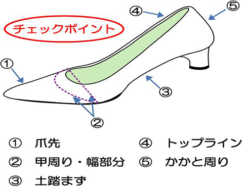 1 爪先、2 甲周り・幅部分、3 土踏まず、4 トップライン、5 かかと周り